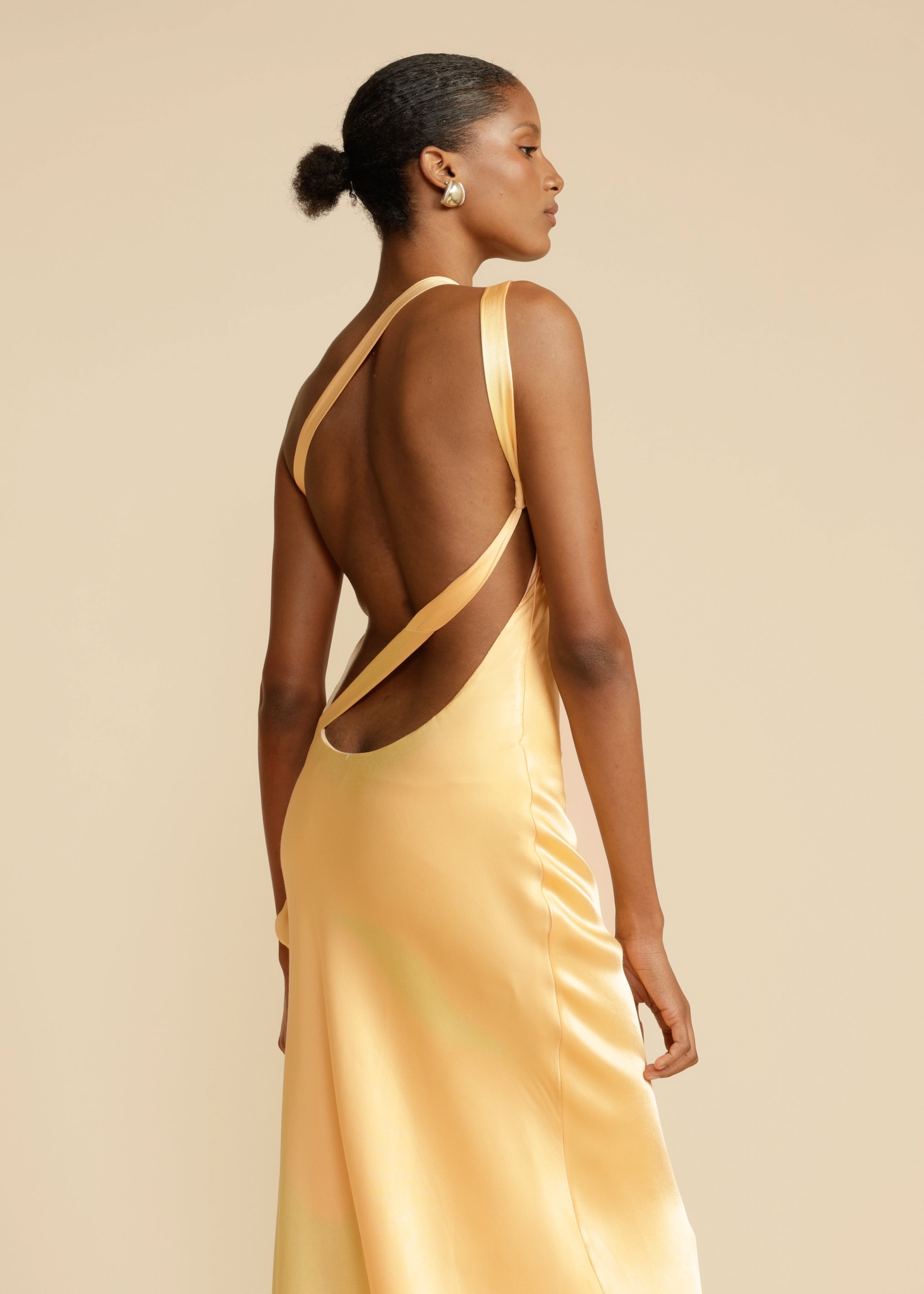 Rosea Dress in Silk