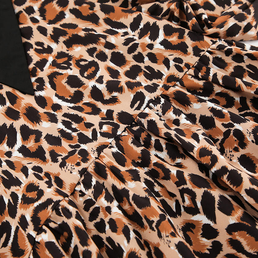 Rosea Leopard Print Dress