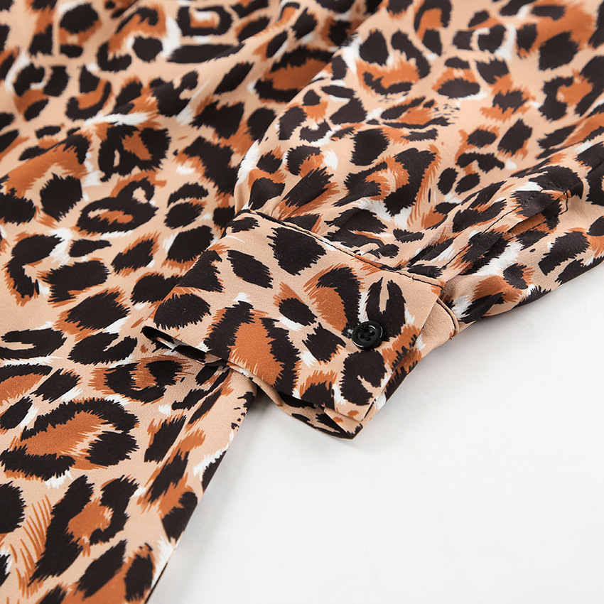 Rosea Leopard Print Dress